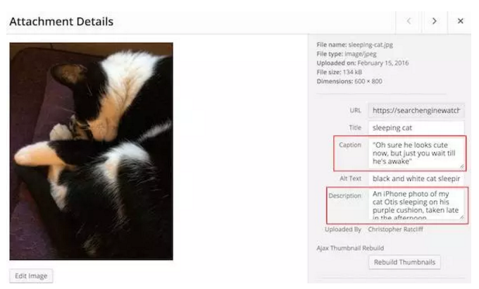 外貿自建站如何做好圖片的SEO優化，一圖勝過千言